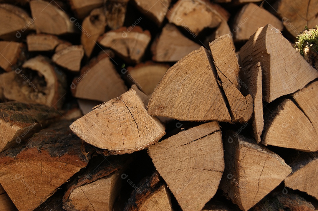 A árvore cortada foi empilhada para o inverno