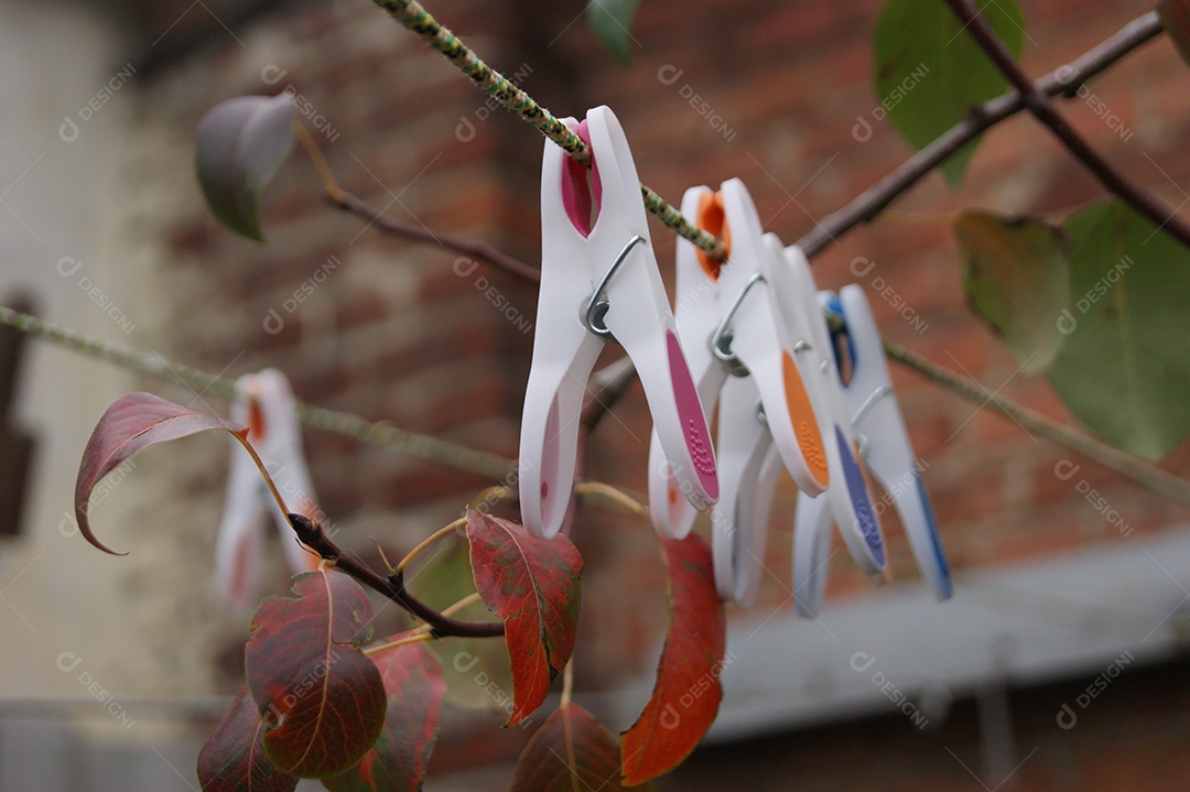 Prendedores coloridos no arame