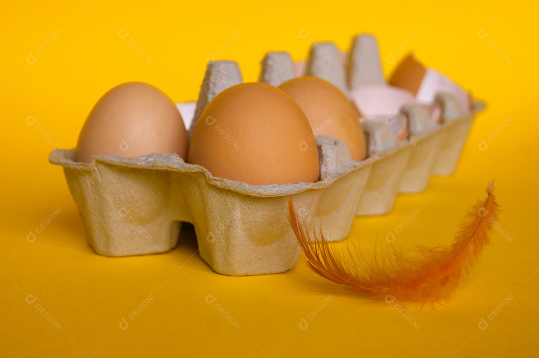 Caixa de ovos marrons abertos sobre fundo amarelo