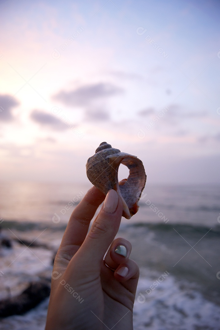 Uma mão feminina segura uma concha vazia contra o fundo do mar