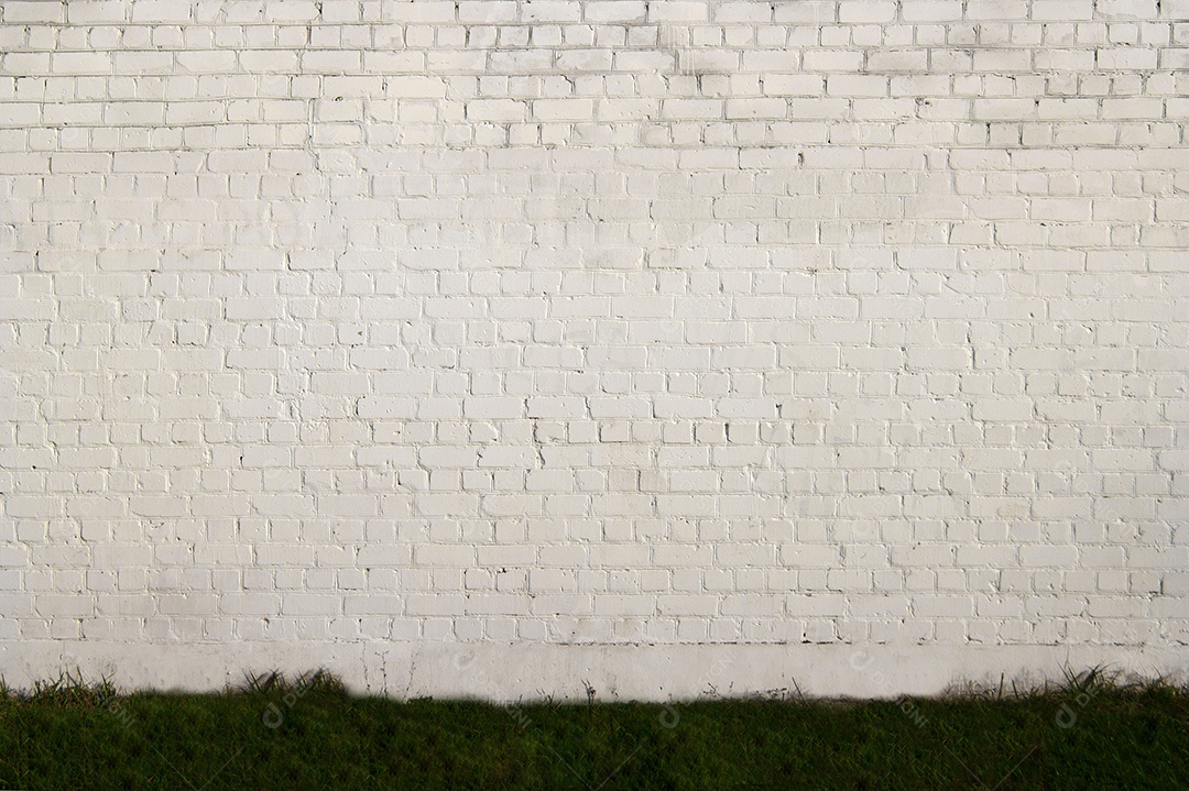 Parede de tijolos branca com grama no pé da parede