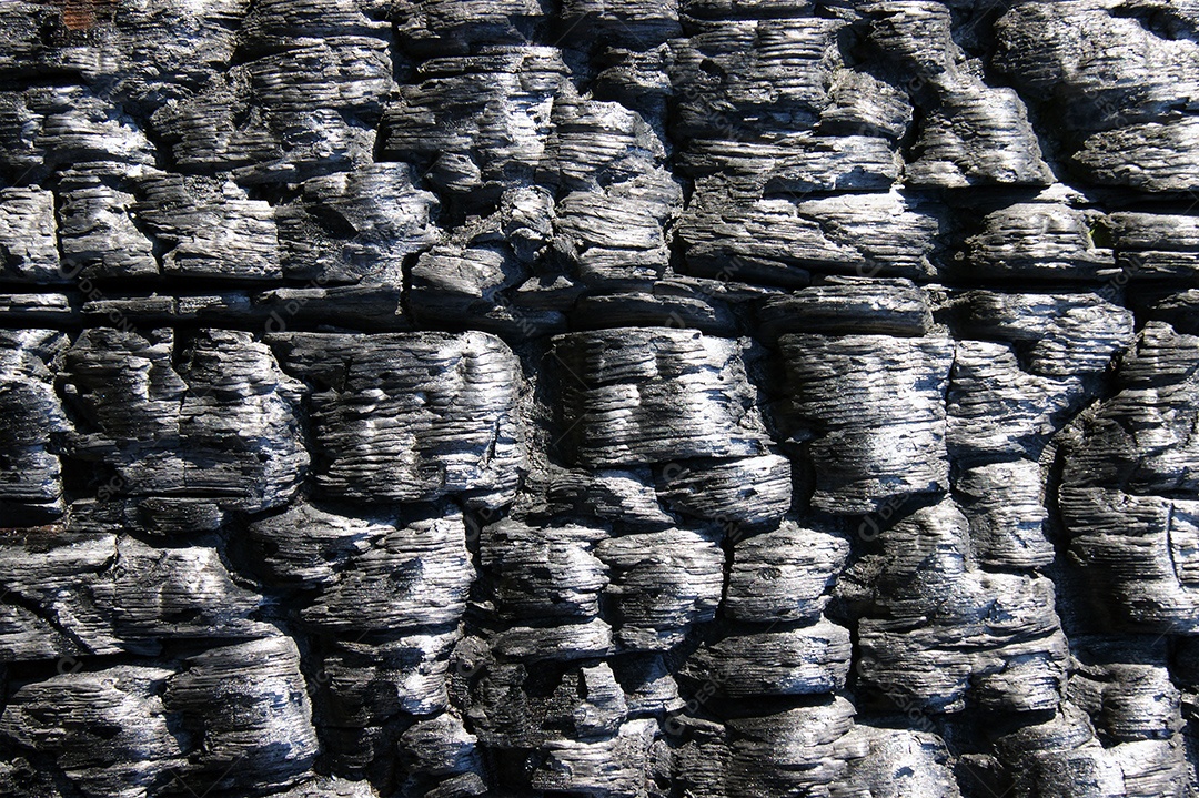 Pedaço de árvore queimada preta