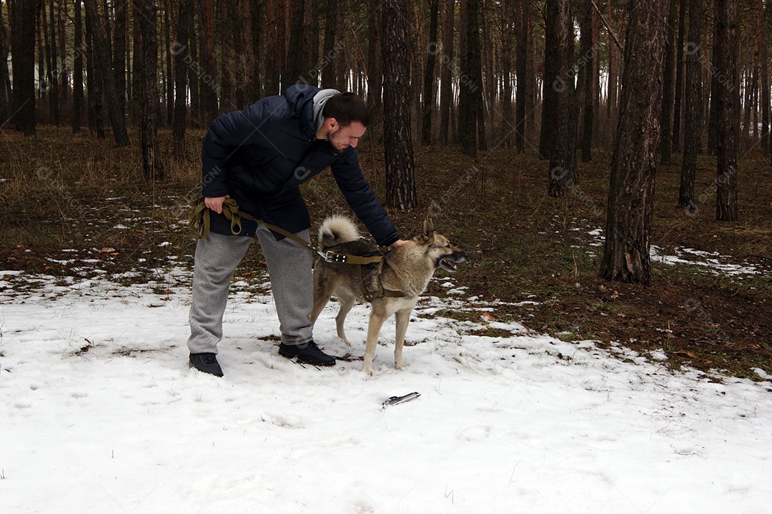 Homem acariciando seu cachorro enquanto andam pela floresta