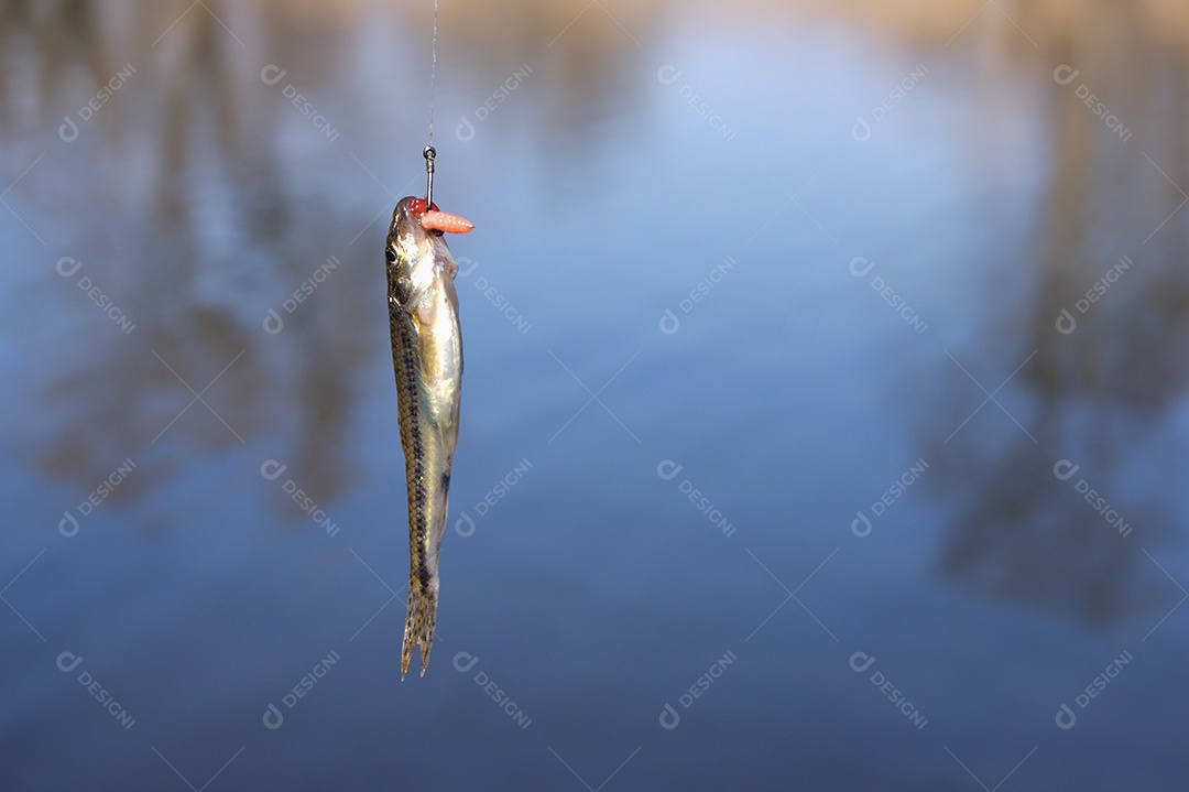 Peixe no anzol e ao fundo uma lago
