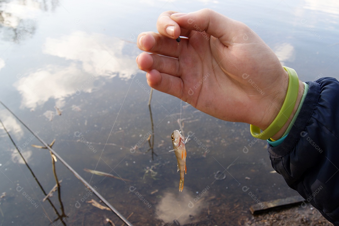 Mãos de um jovem segurando pequeno peixe poleiro em um anzol de fundo um lago