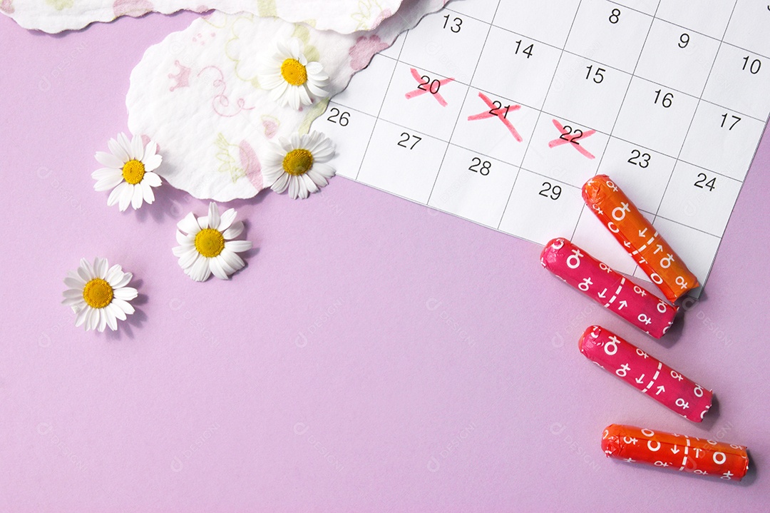 Absorventes variados diário ob interno e com calendário e flores ao lado