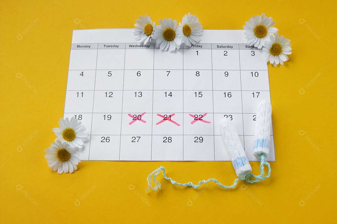 Calendário marcado flores de camomila e absorventes