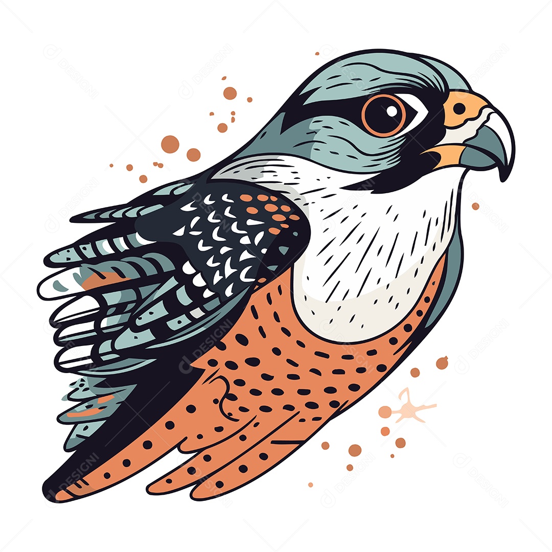 Pássaro Peregrino de Desenho Animado Ilustração Vetor EPS