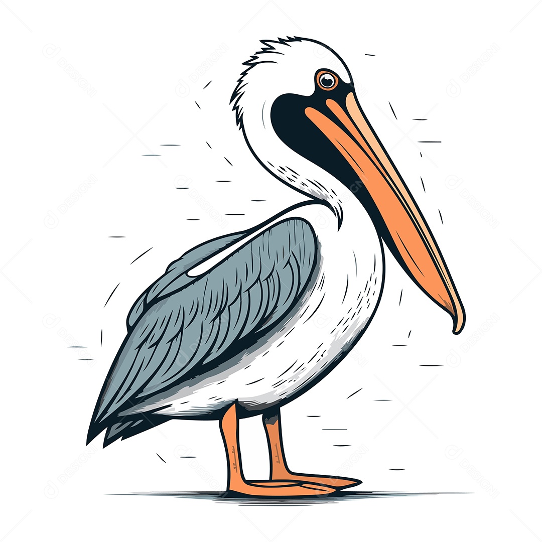 Pelicano de Desenho Animado Ilustração Vetor EPS
