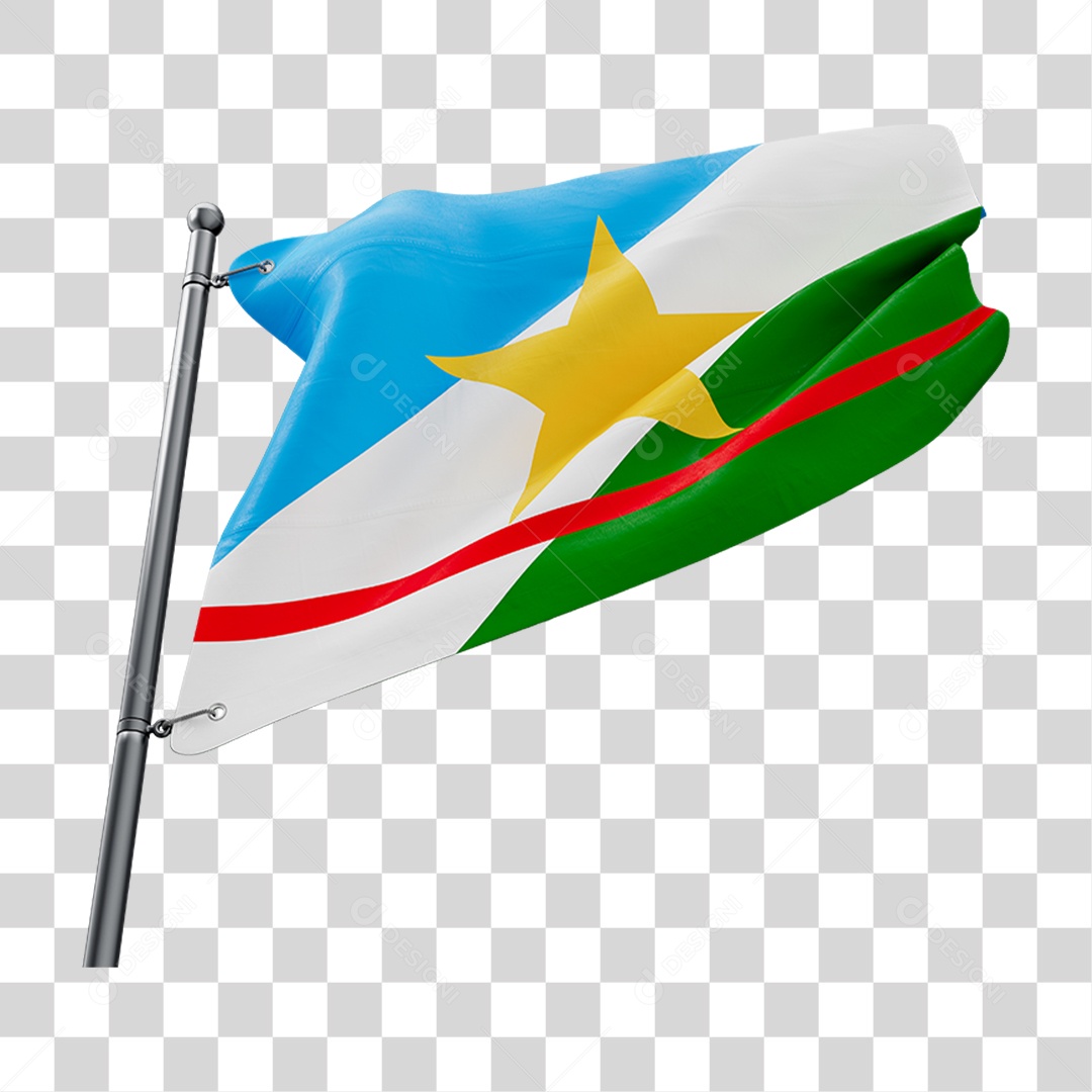 Bandeira do Estado de Roraima PNG Transparente
