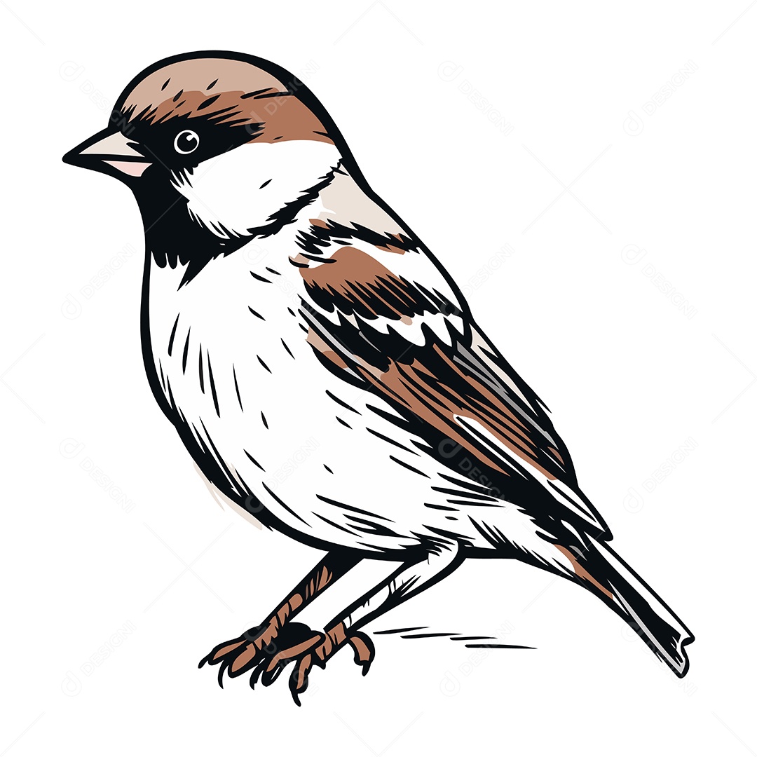 Pássaro Pardal de Desenho Animado Ilustração Vetor EPS