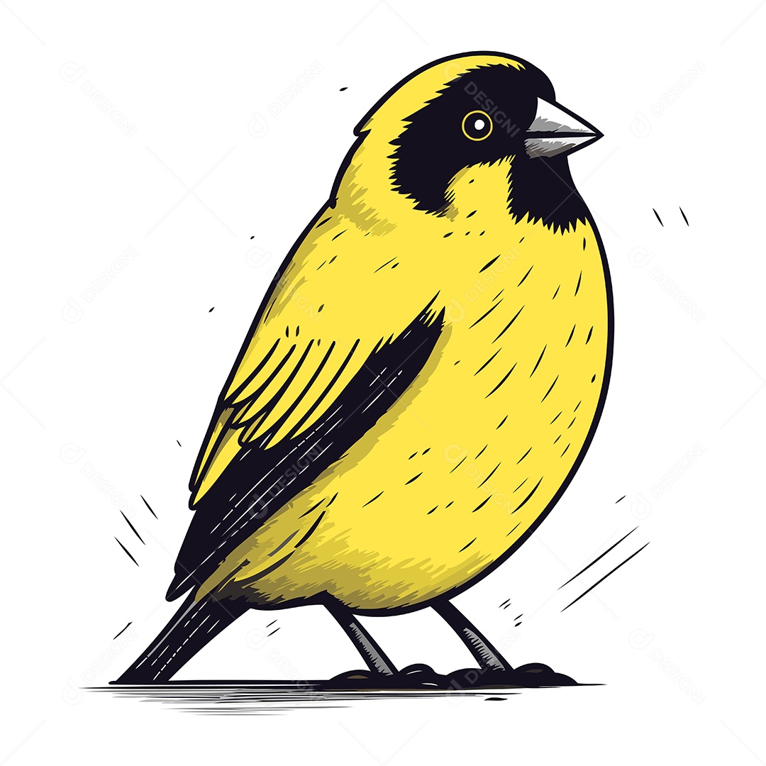 Pássaro Pintassilgo de Desenho Animado Ilustração Vetor EPS