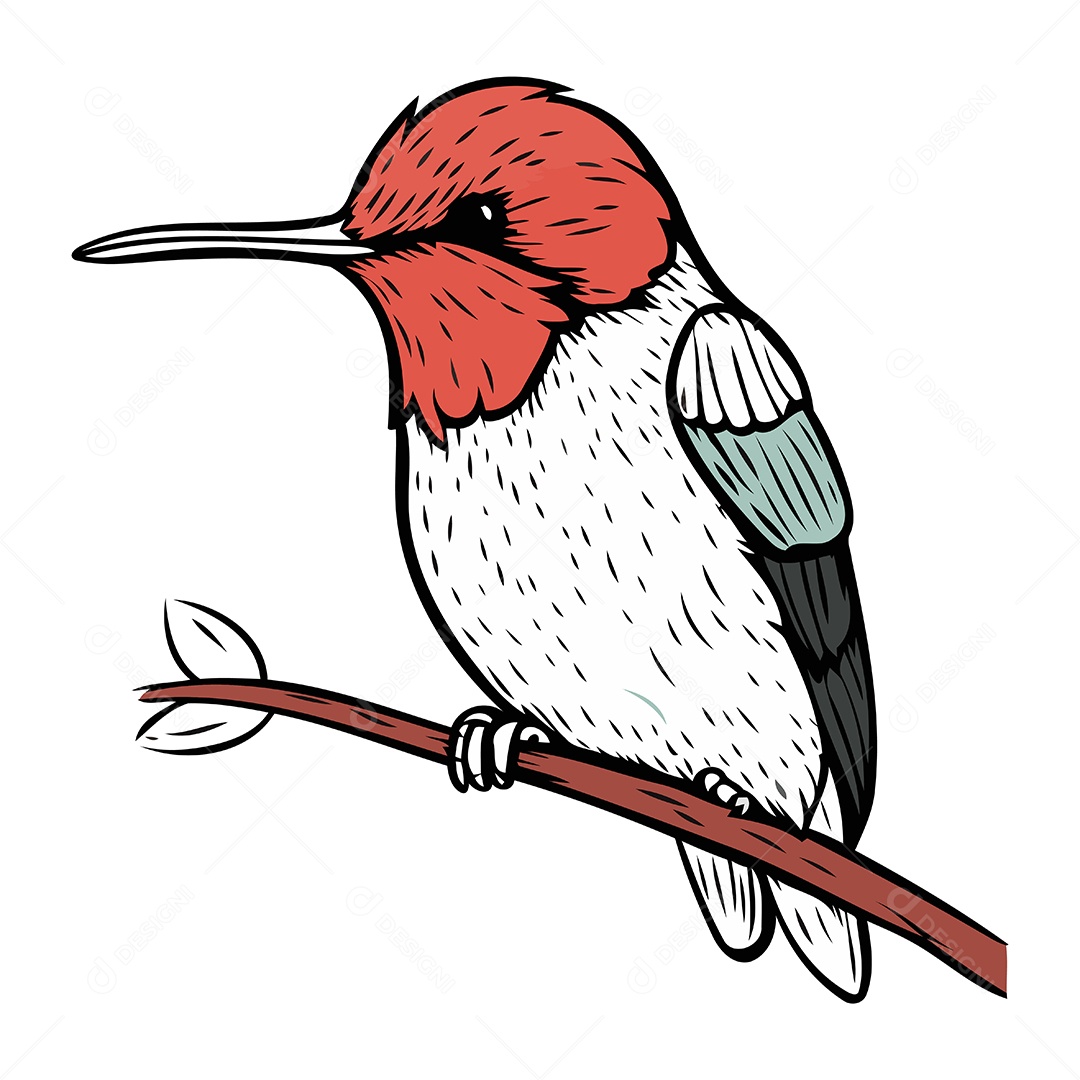 Pica Pau de Desenho Animado Ilustração Vetor EPS