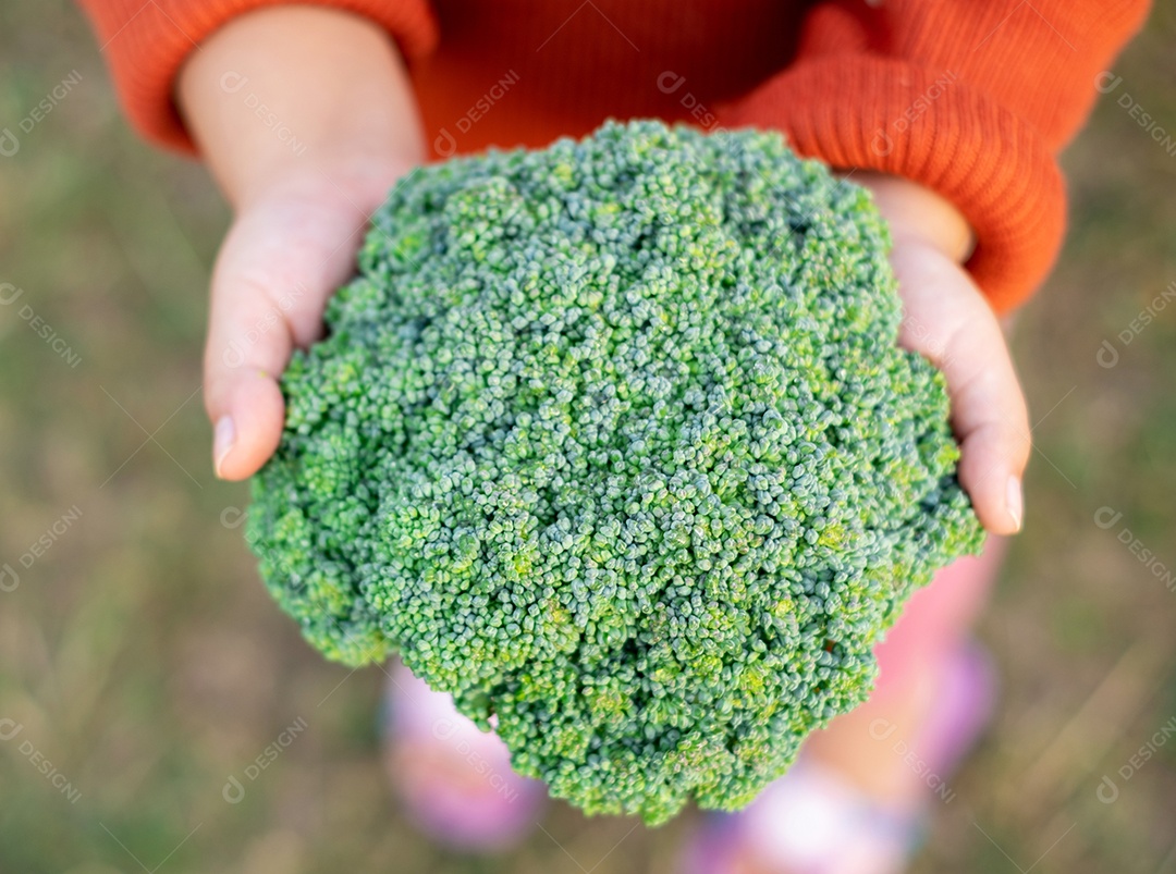 Mulher na horta colhendo couve flor