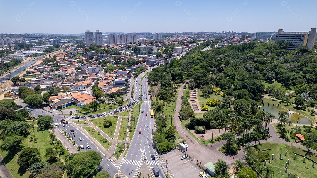 Avenues of a city and trees