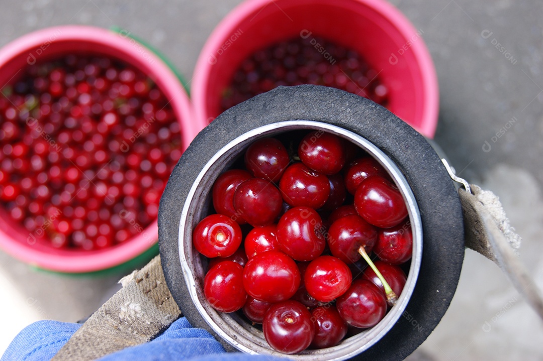 Baldes cheios de cerejas frescas maduras