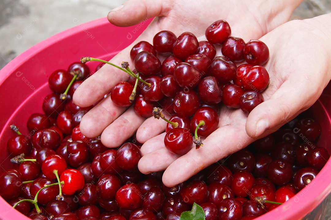 Bacia com muitas cereja