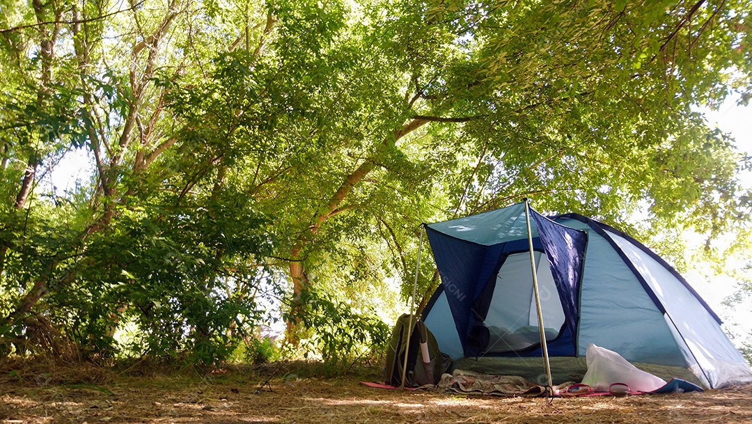 Barraca azul montada em uma floresta verde