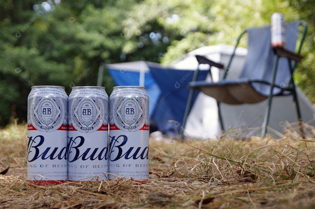 Budweiser em latas no chão com gramas seca