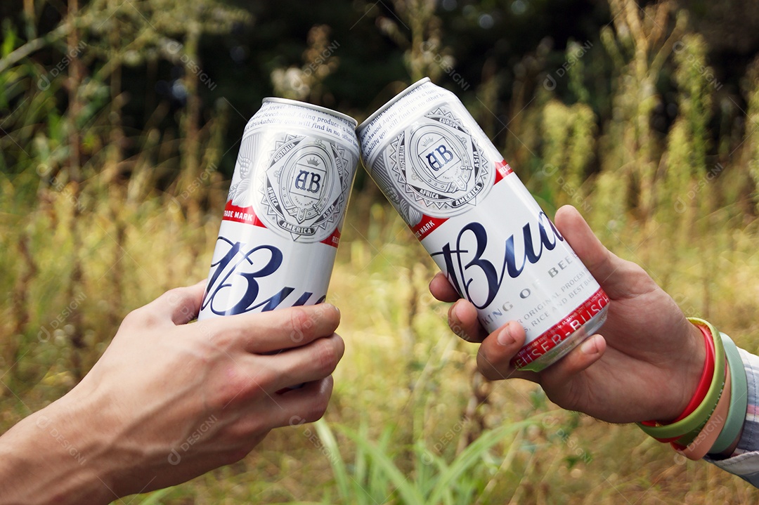 Mãos brindando com cerveja budweiser