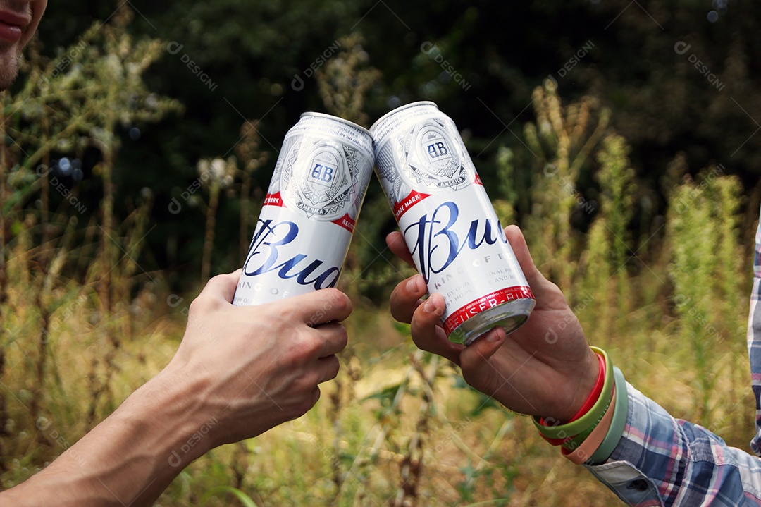 Mãos brindando com cerveja budweiser