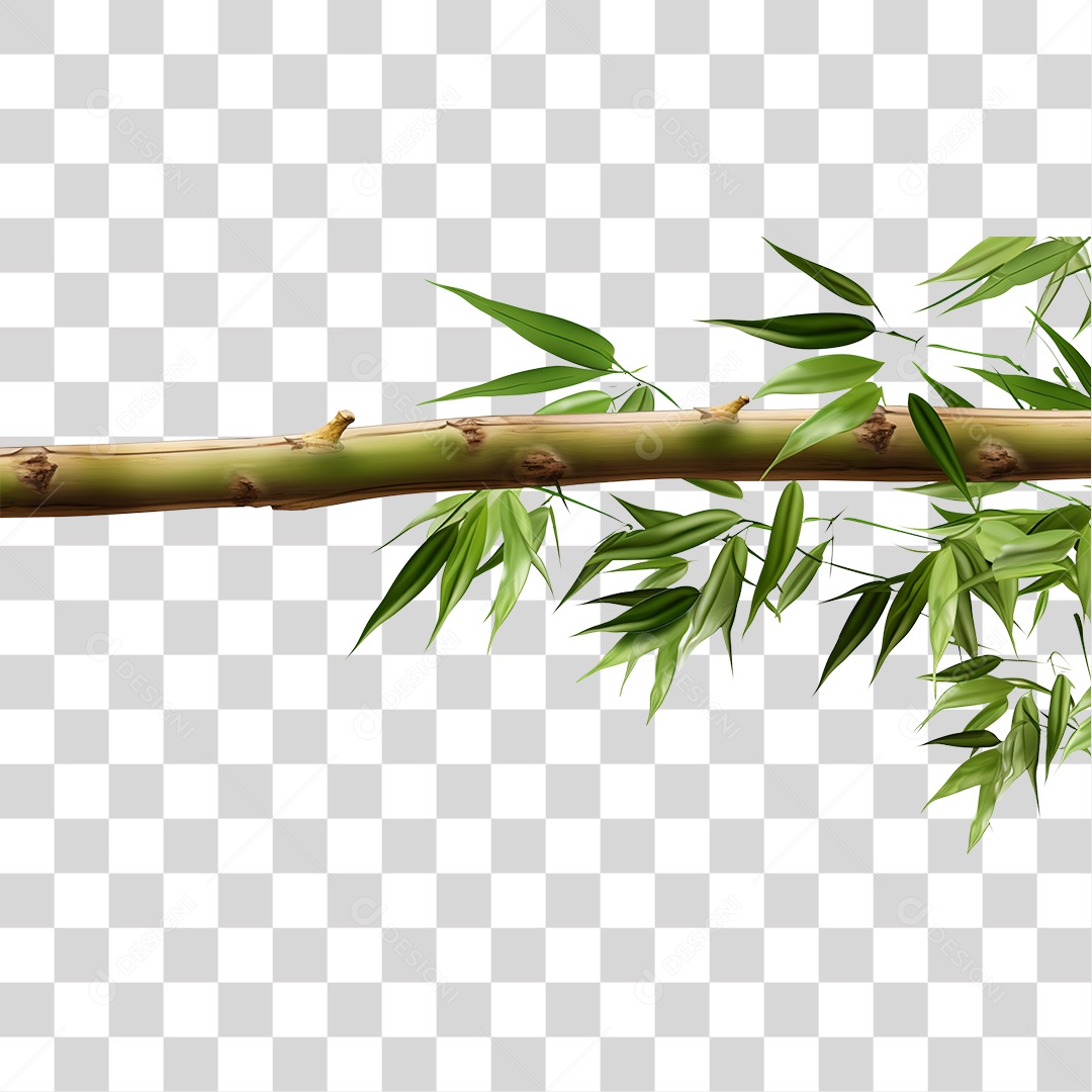 Pedaço de Bambu Com Galhos e Folhas PNG Transparente