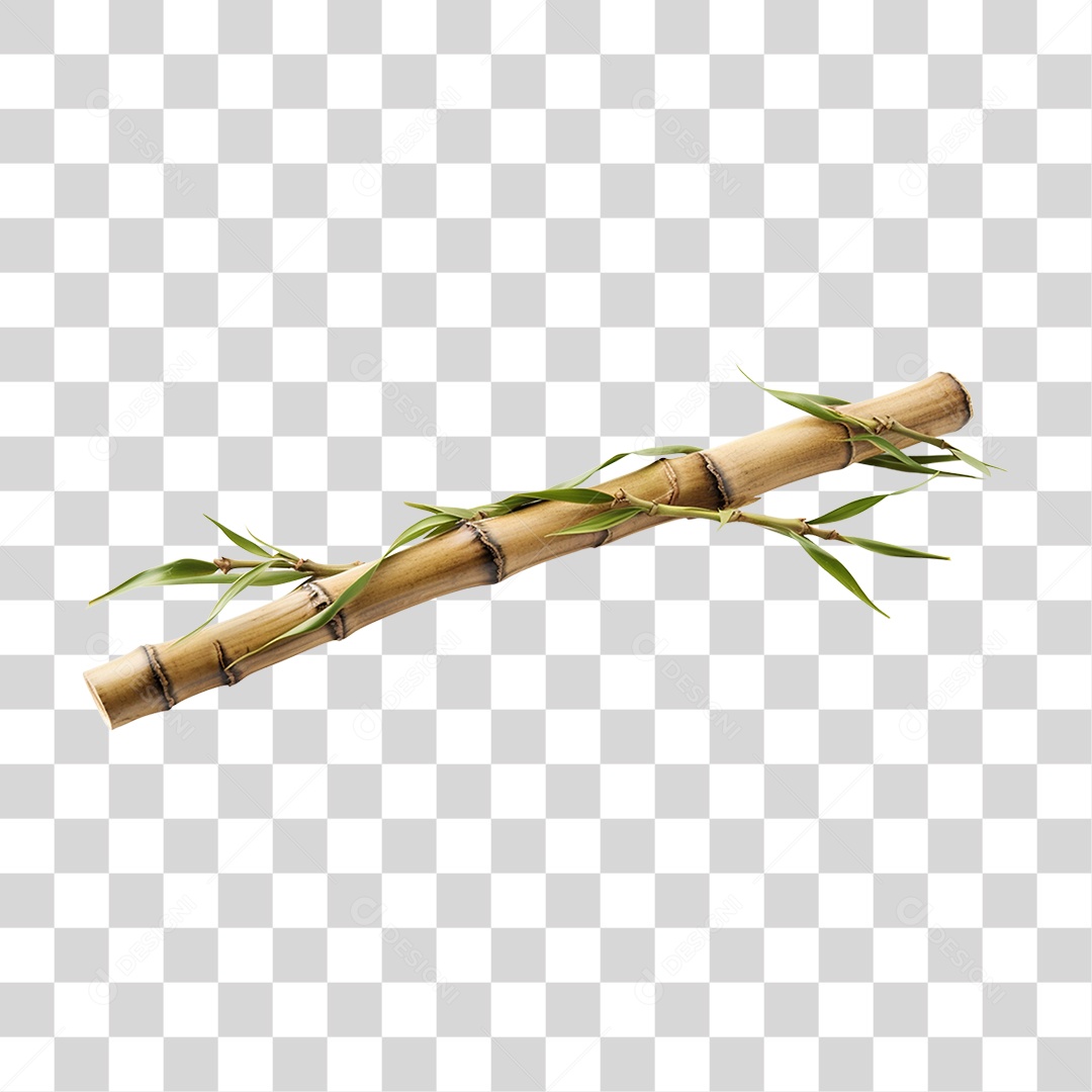 Pedaço de Bambu Com Galhos e Folhas PNG Transparente