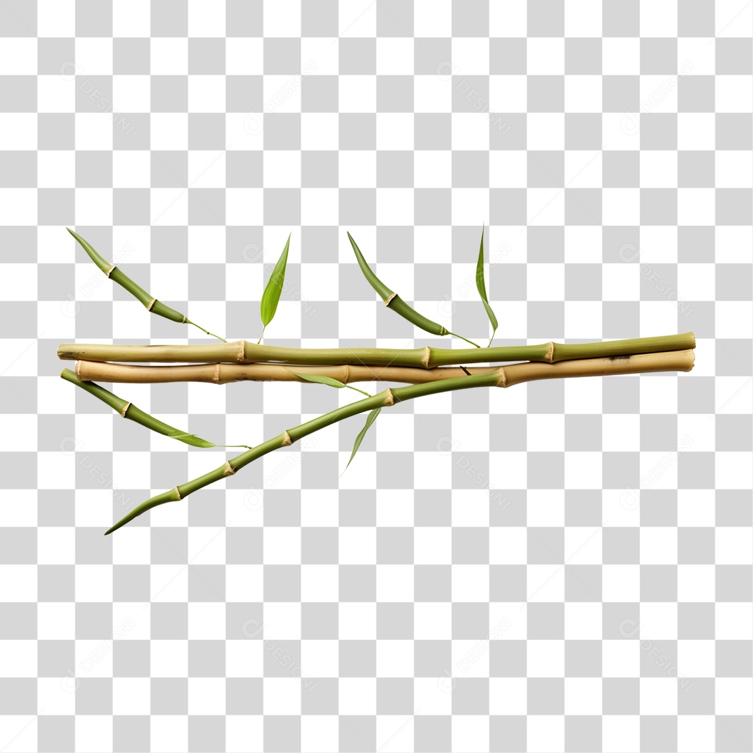 Pedaço de Bambu Com Galhos e Folhas PNG Transparente