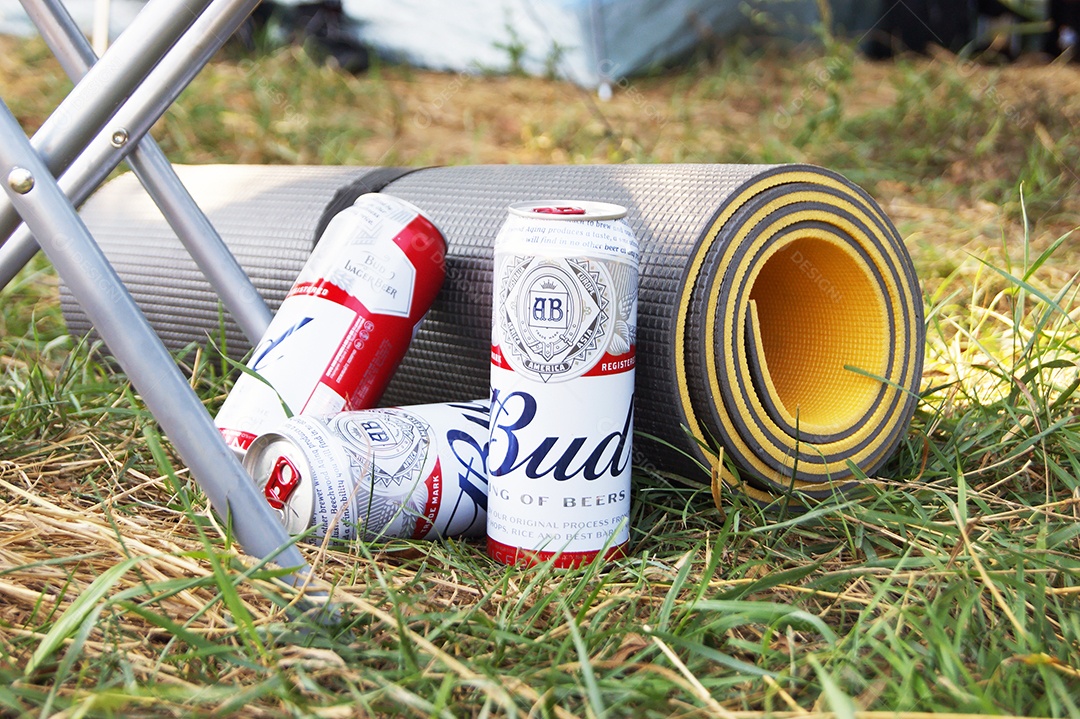 Latas de budweiser juntas no chão encostada em tapete sobre fundo de natureza