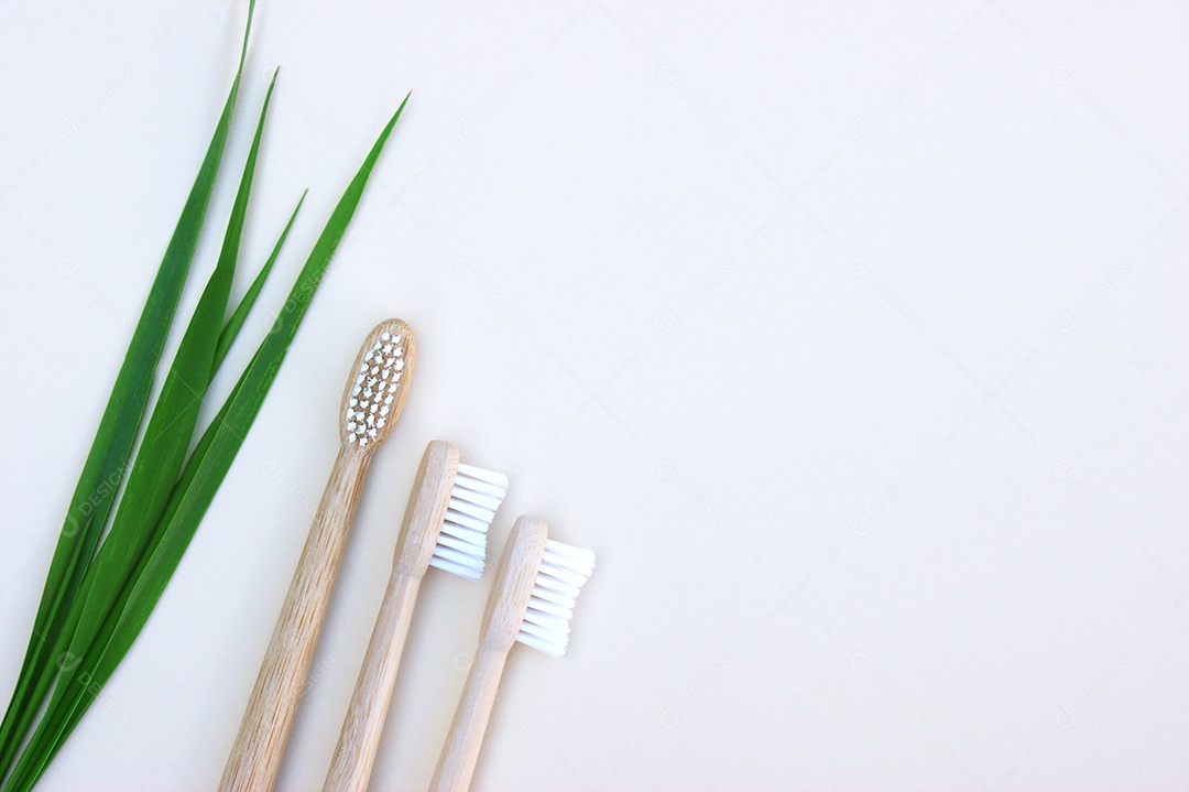 Três escovas de dentes de bambu com ramo de decoração ao lado