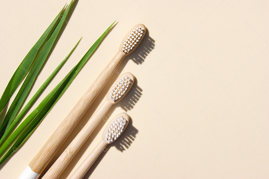 Escova de bambu lindas