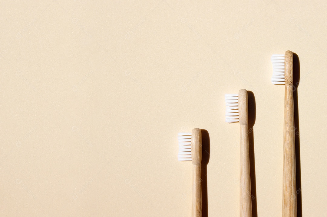 Escovas de bambu ecologica