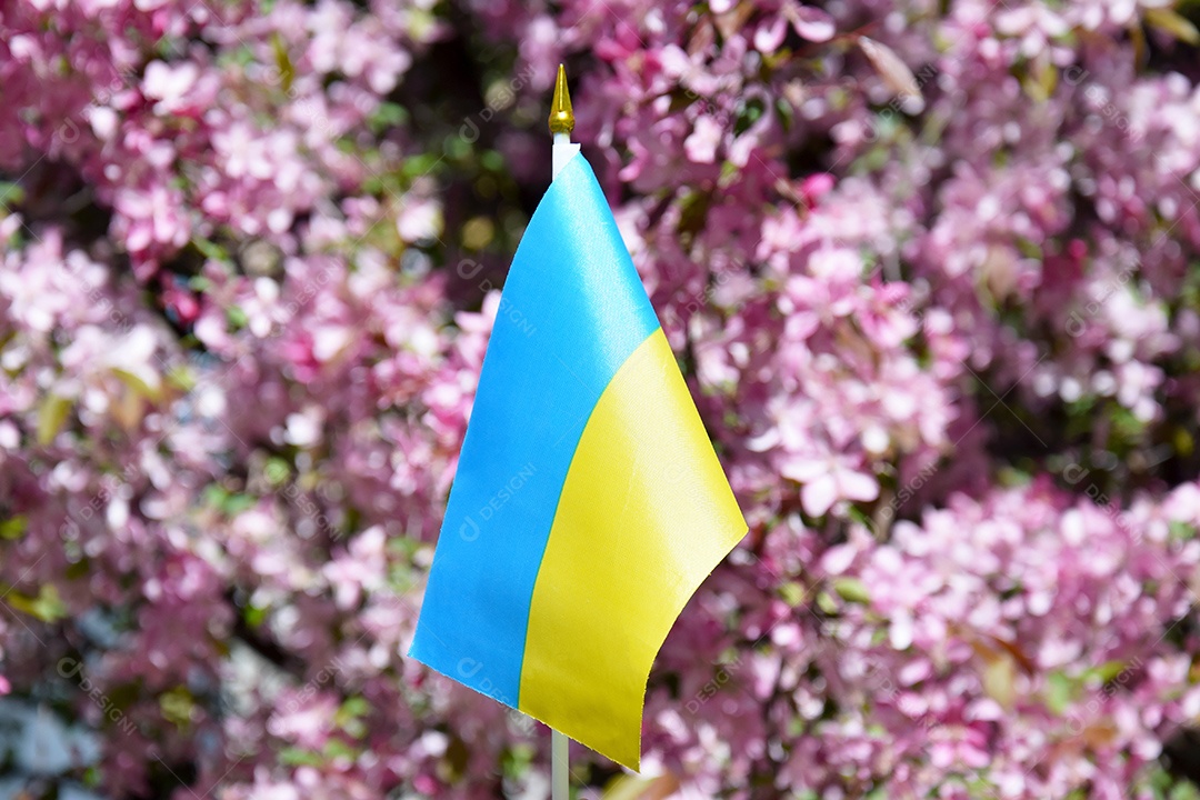 Bandeira ucraniana azul e amarela fundo de flores