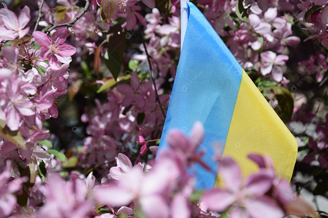 Jardim de flores e bandeira ucraniana no meio