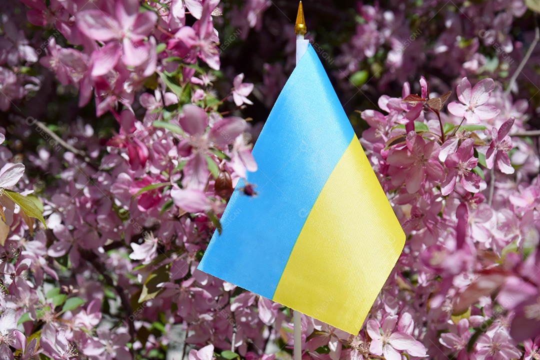 Jardim de flores e bandeira ucraniana no meio