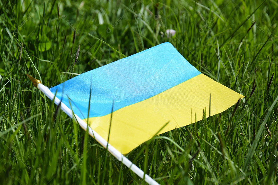 Pequena bandeira da Ucrânia sobree fundo gramado