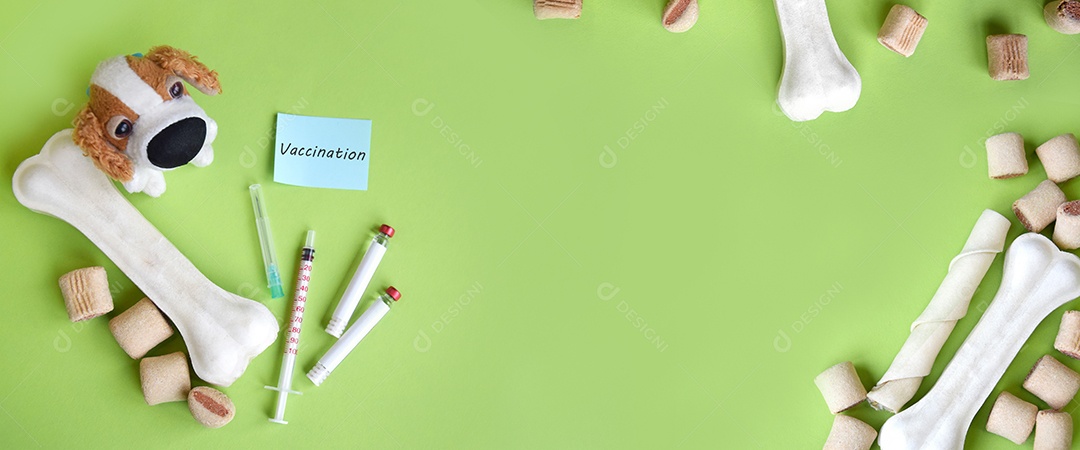 Petisco e guloseimas para cães seringa tubo coletor conceito de vacinação sobre fundo verde