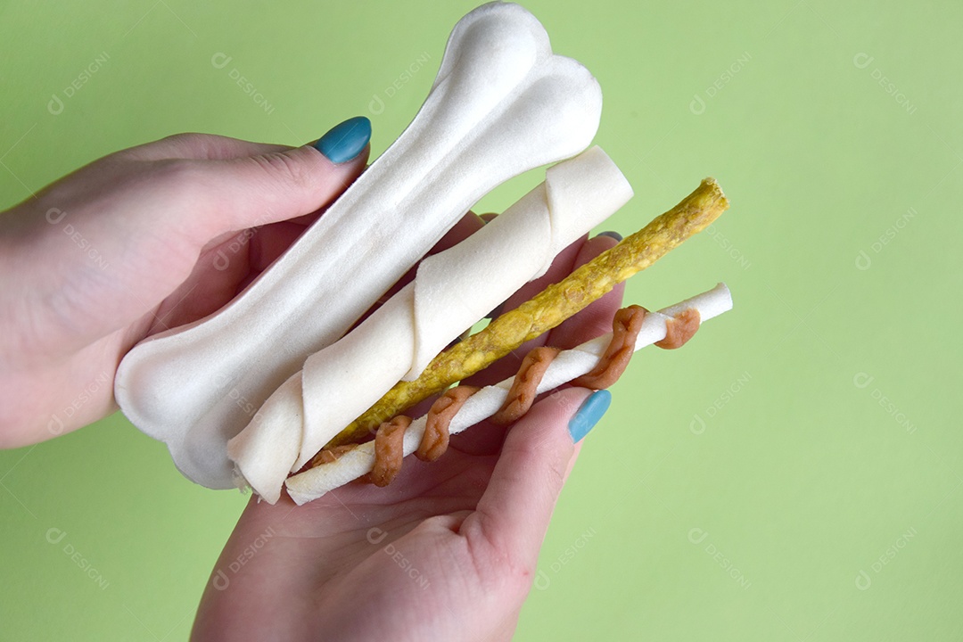 Guloseimas para cães sobre fundo verde claro