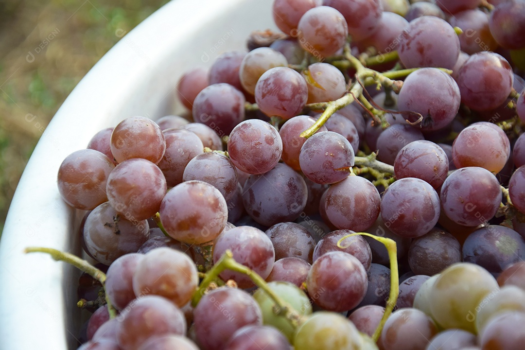 Bacia com uvas