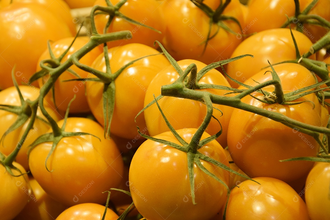 Tomates amarelos maduro em galho