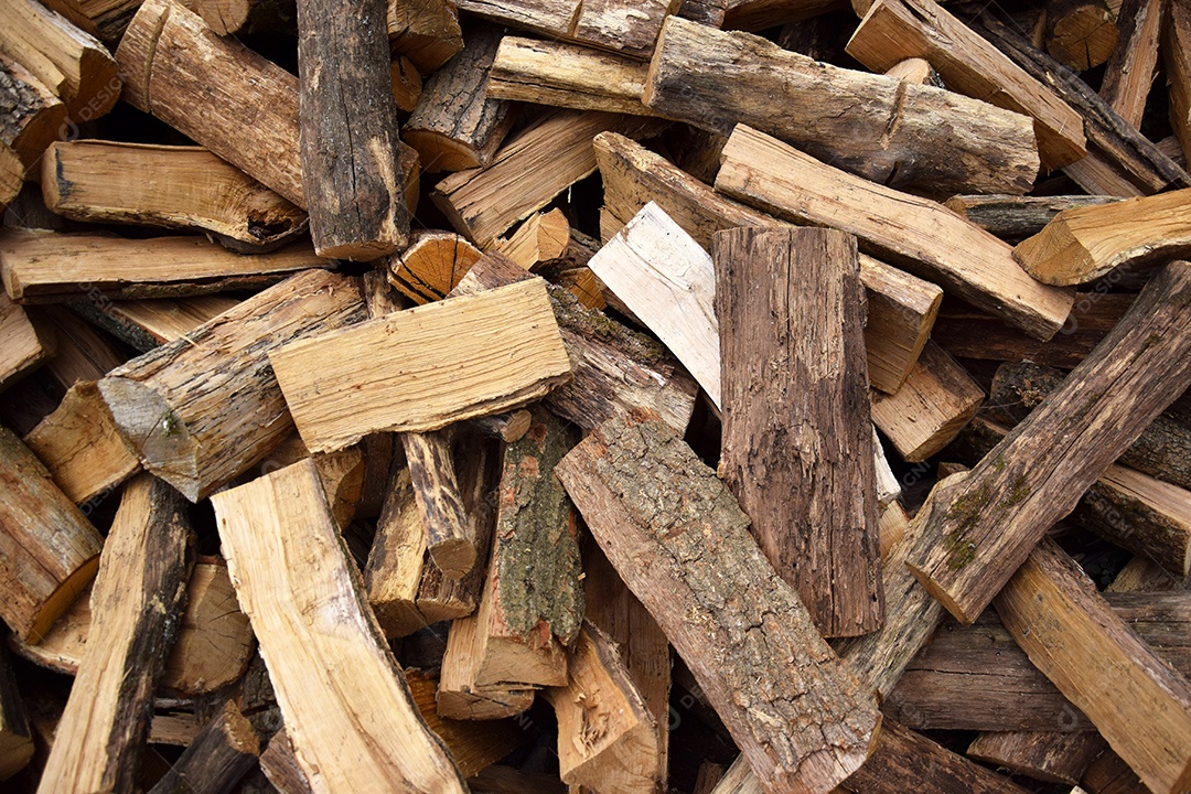 Muita lenha cortada para o inverno