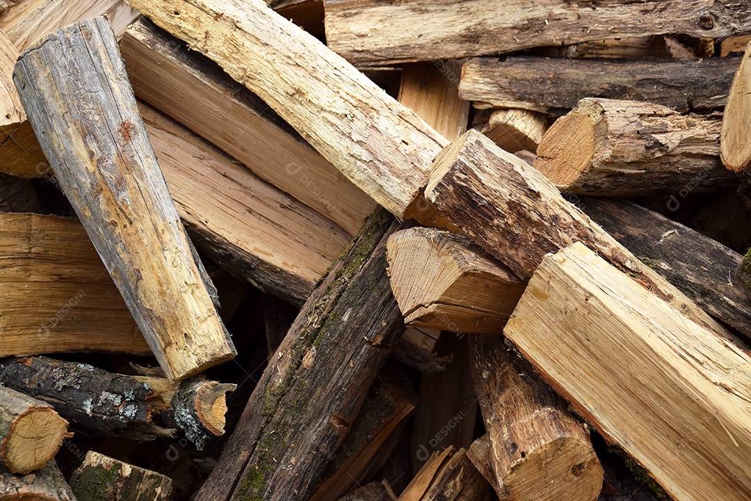 Colheita de lenhas para o inverno estação de aquecimento