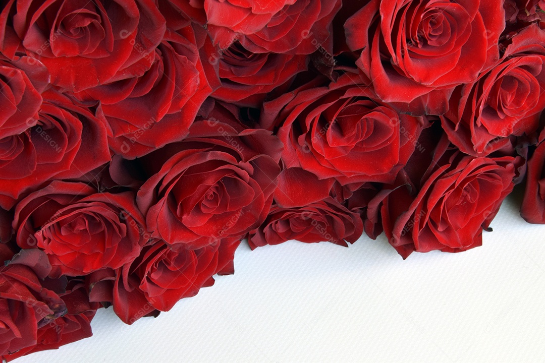 Buquê de rosas vermelhas fundo de natureza festiva