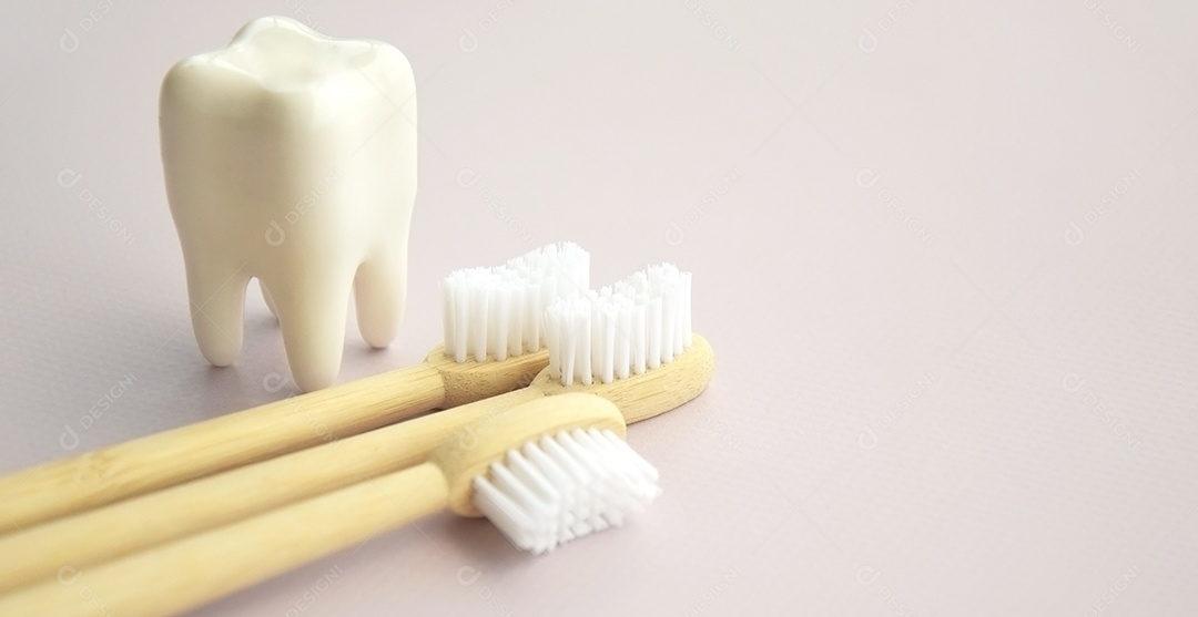 Figura de dente ao lado escovas de dentes conceito de saúde bucal