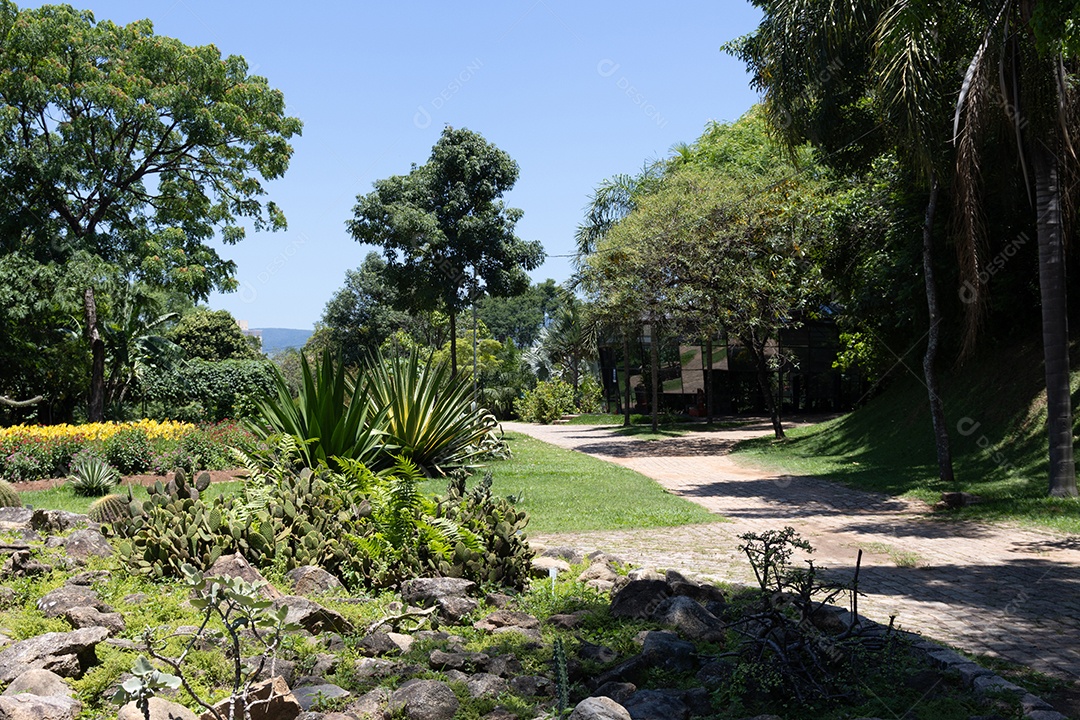 Praça com linda vegetação.