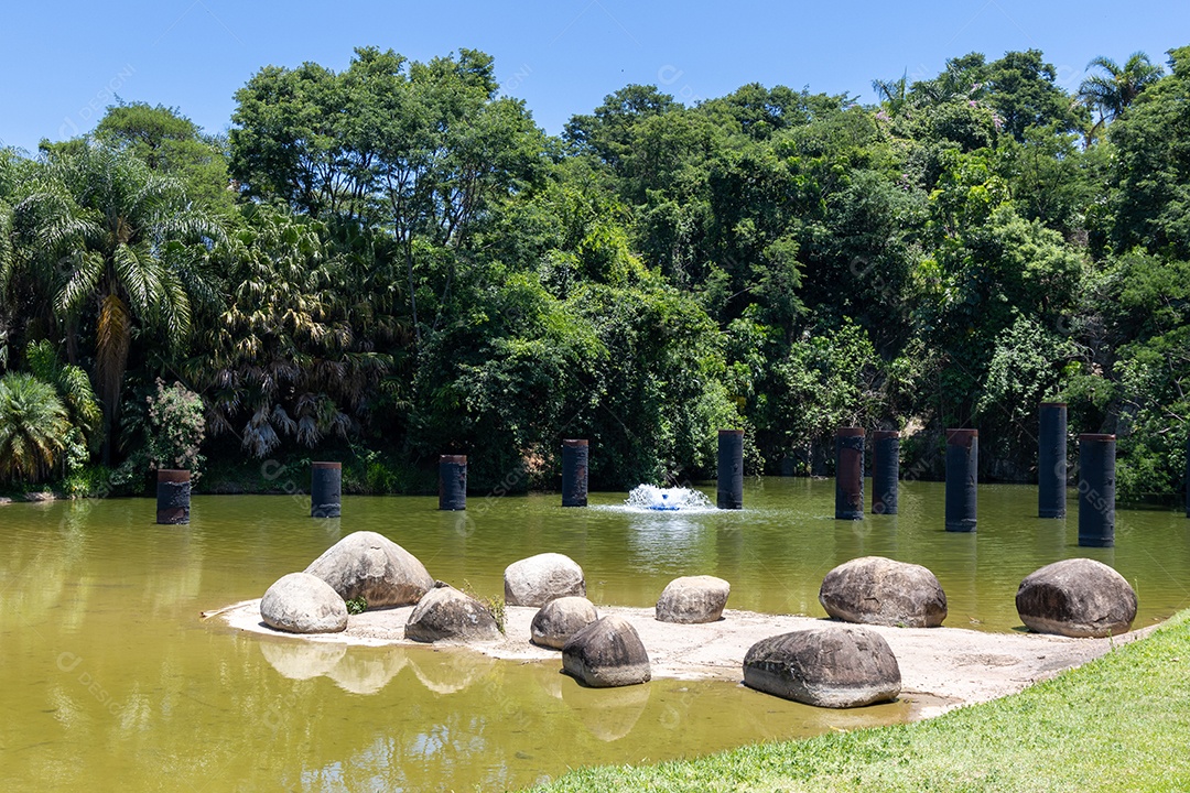 Lagoa  de um parque lindo.