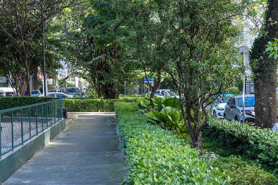 Caminhos verdes de uma praça linda.