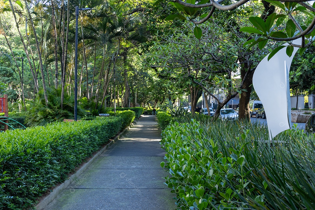 Praça com caminhos verdes.