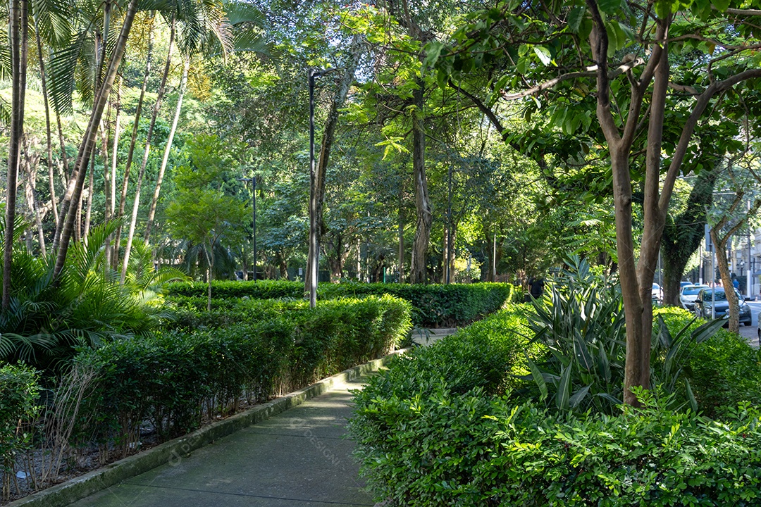 Caminhos verdes de uma praça linda.