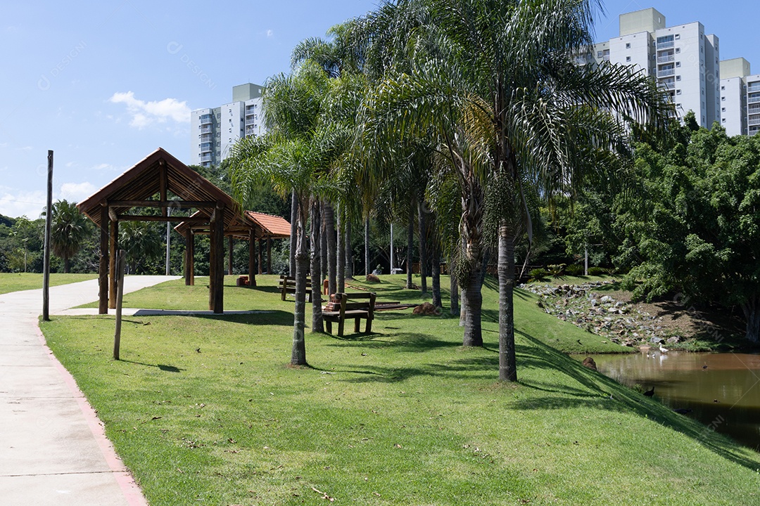 Casinha coqueiros gramas em um parque lindo.